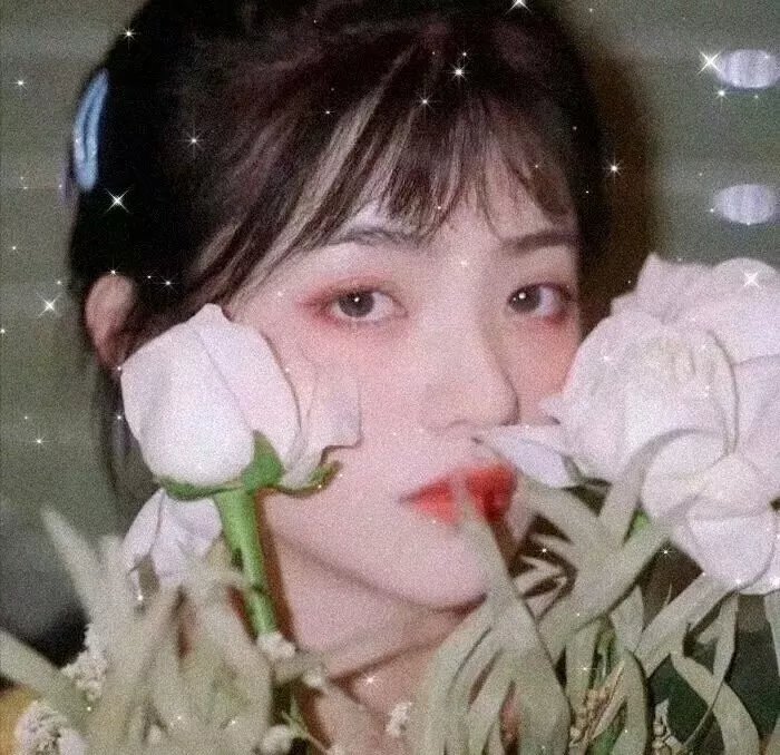 等风也等你